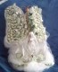 Thumbs/tn_papillon mariahe 13 . 200-.jpg